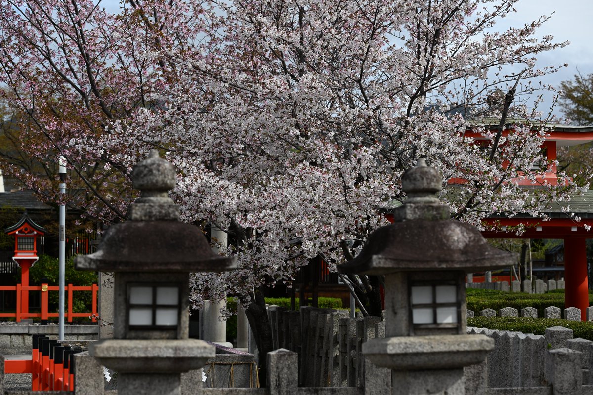 kensukevr6 tweet media