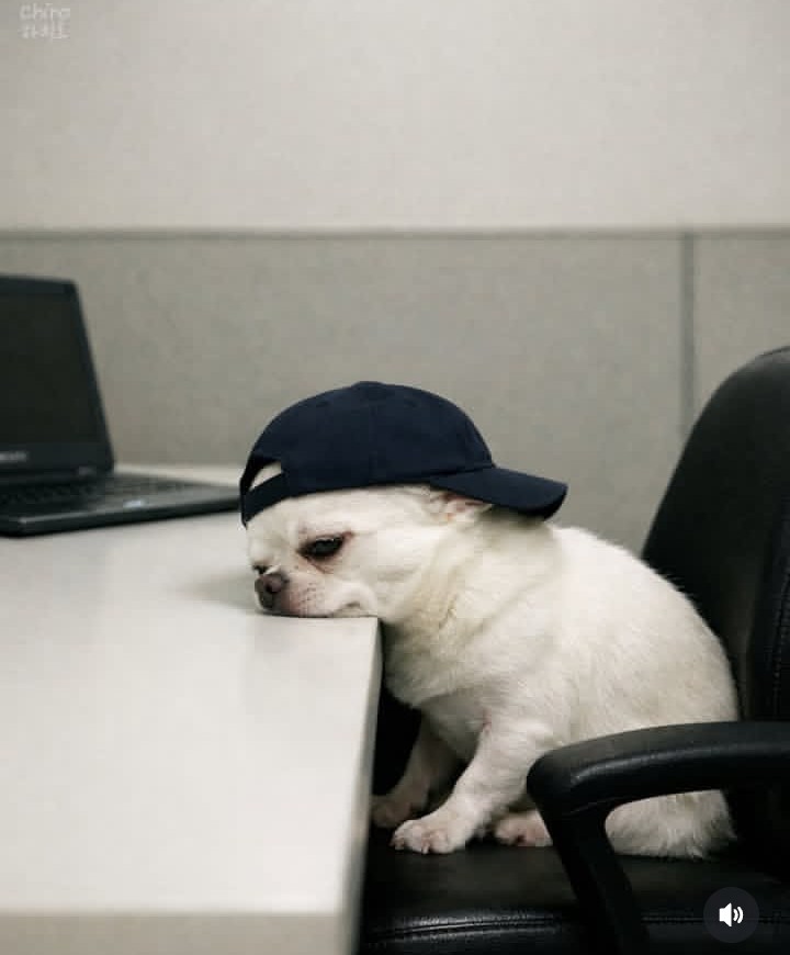 Sandra Kings tweet media