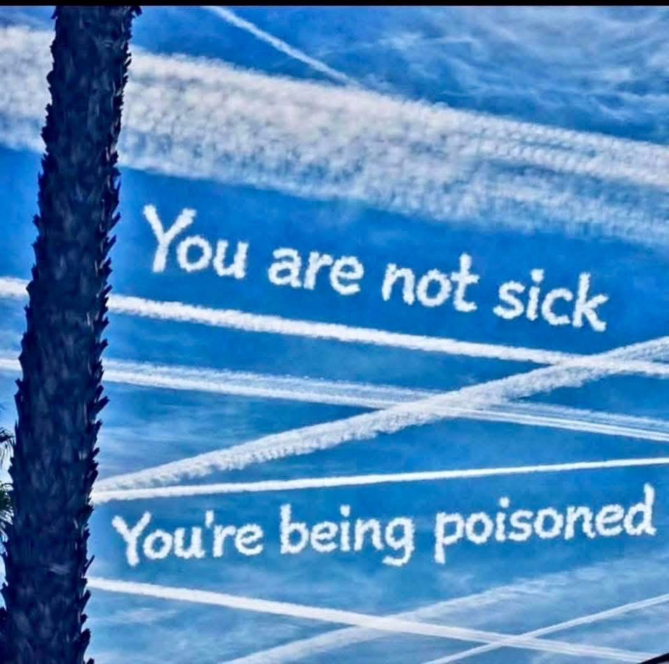 0️⃣BlackBetty ⚓️ tweet media