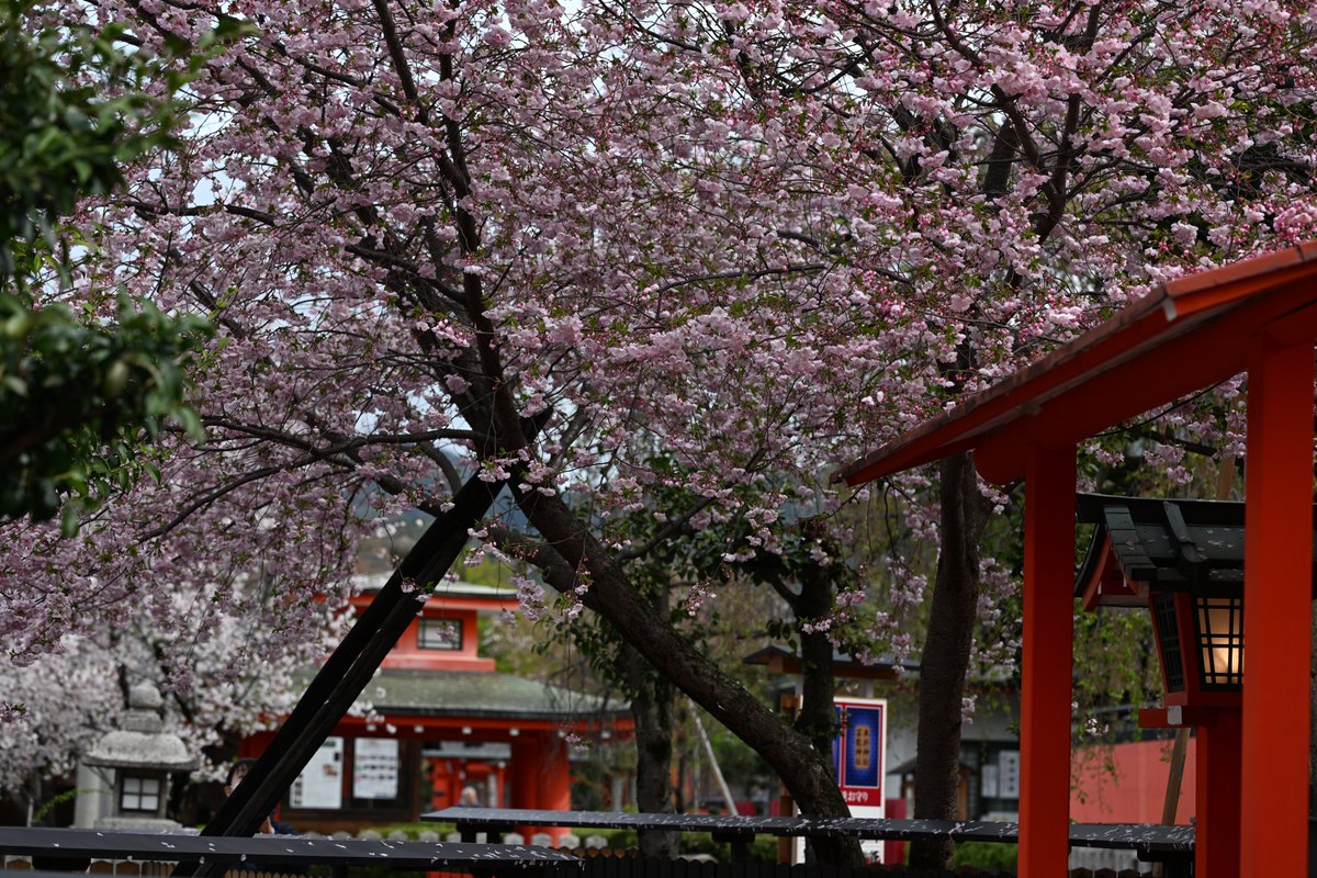 kensukevr6 tweet media