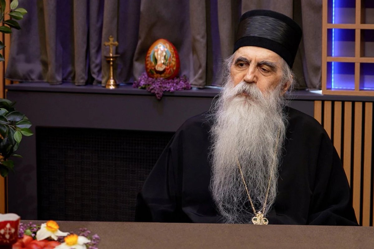 Nemanja Vujcic (Немања Вујчић) tweet media