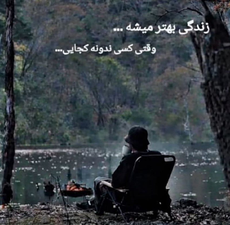 Golnazevan tweet media