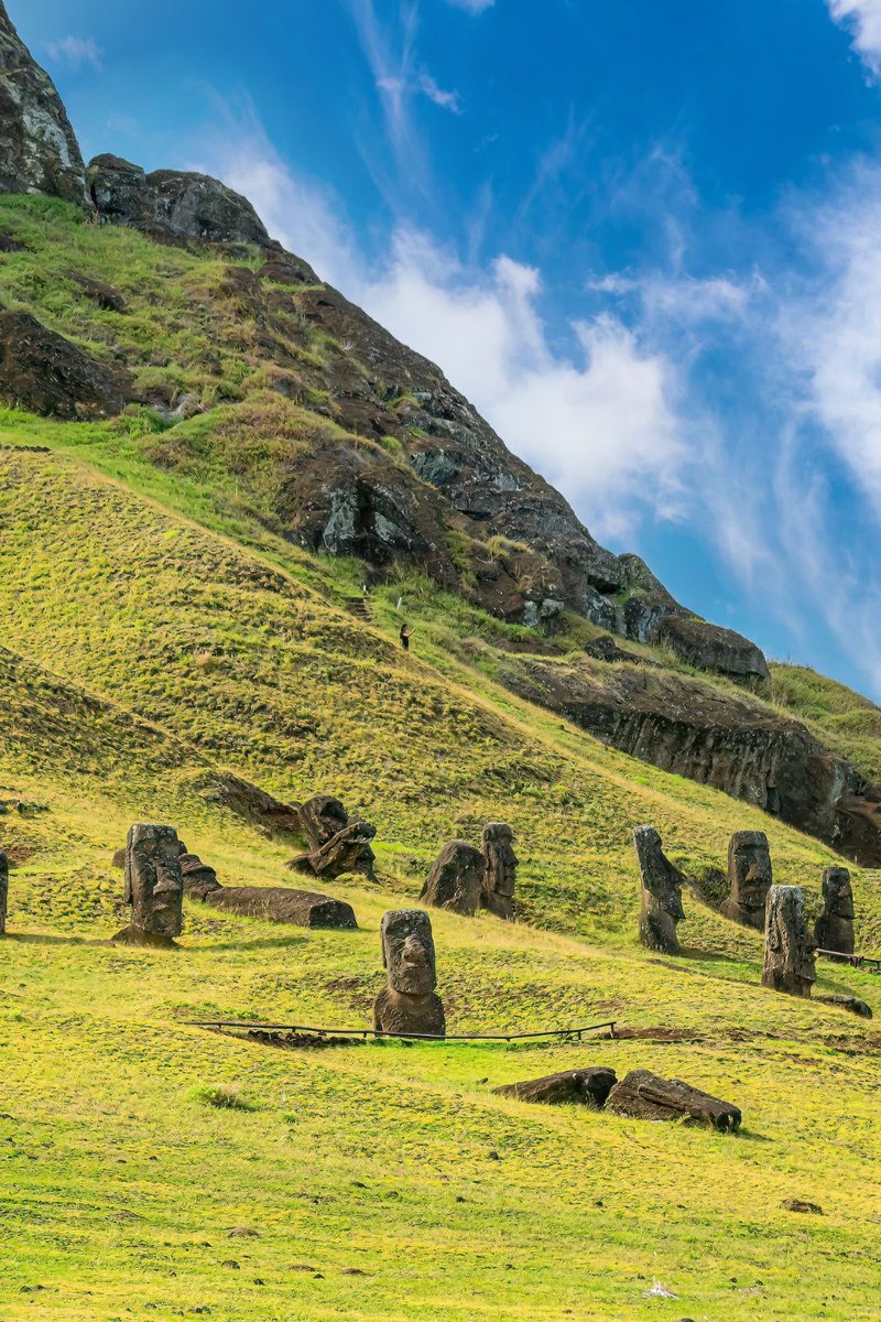 vistaaura tweet media