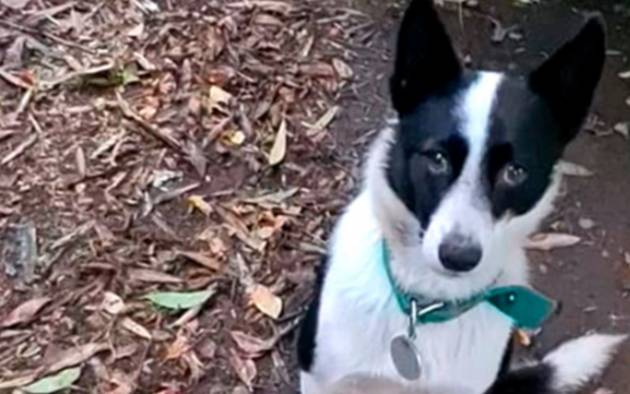 Hechos y Derecho tweet media