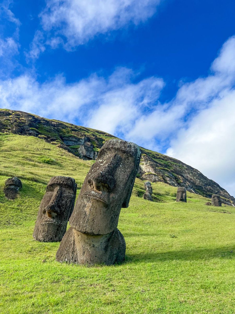 vistaaura tweet media