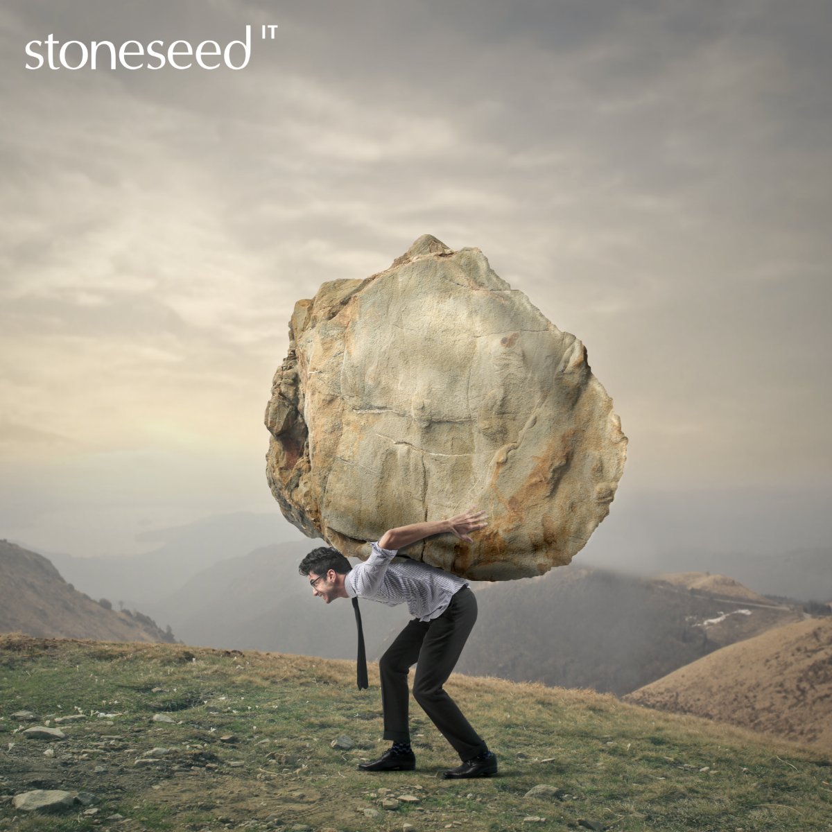 Stoneseed tweet media
