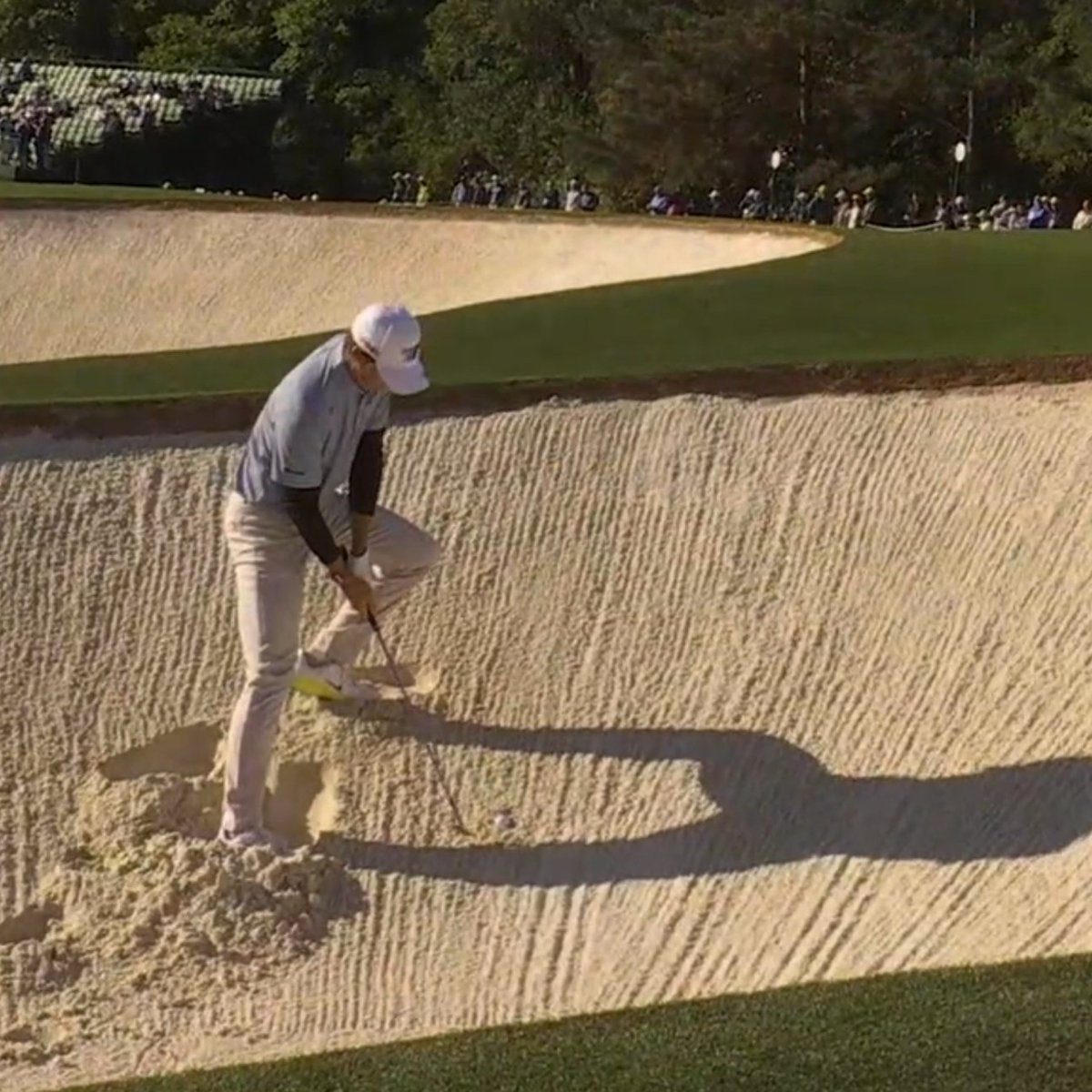 fried_egg_golf's tweet photo. https://t.co/FVyE6o8W02