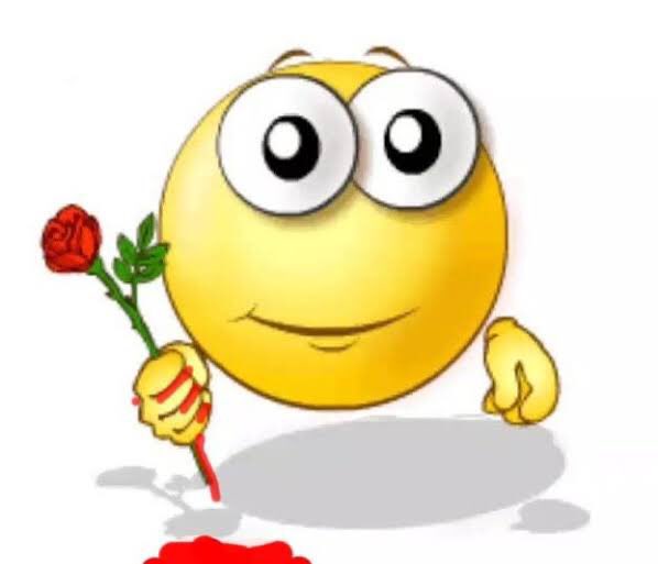 zé bonitinho tweet media