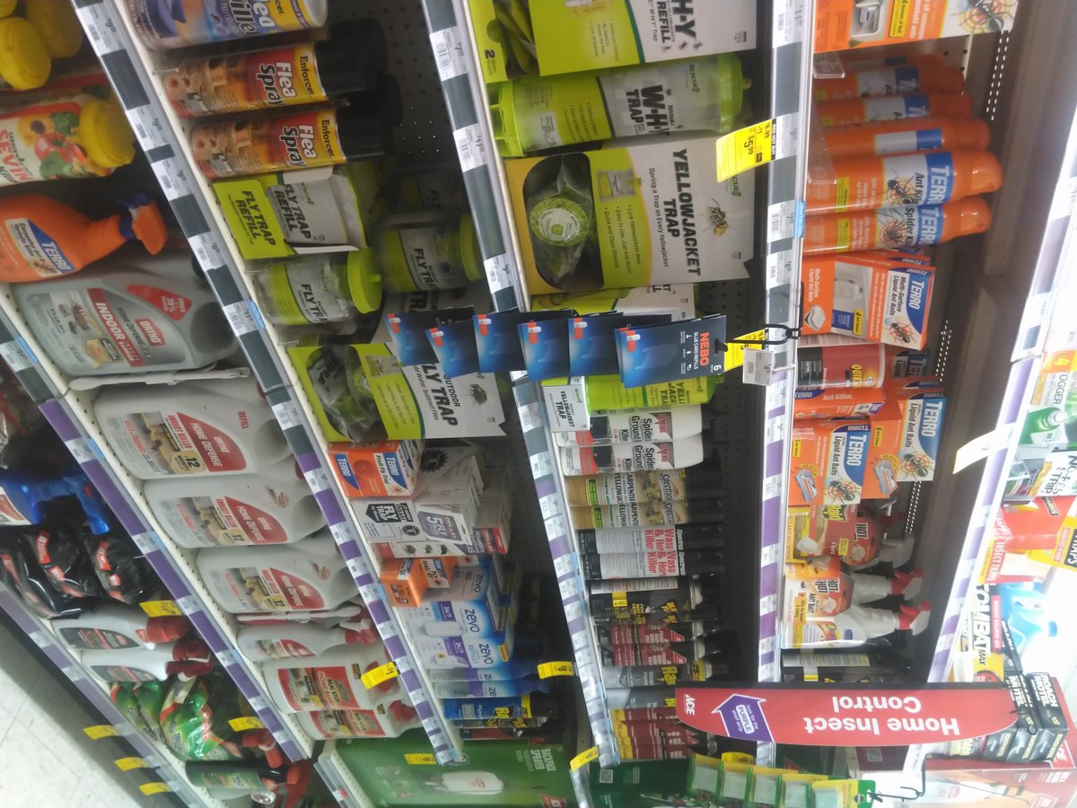113AceHardware's tweet image. Pests creeping in? 🐜🕷️ Start your pest control early this season! Visit Ace Hardware for effective solutions. #PestPrevention #AceHardware