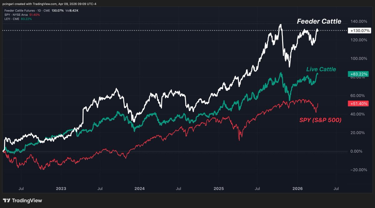 🤖You bought the AI wave. 
🐄You should've bought a cow 

Feeder cattle: +131% over 4 years. 
Live cattle +83%.
S&amp;P 500: +51%.

📉The U.S. cattle herd is at a 75-year low and won't recover until 2028. 

🥩Beef prices aren't coming down anytime soon. 

Full story
