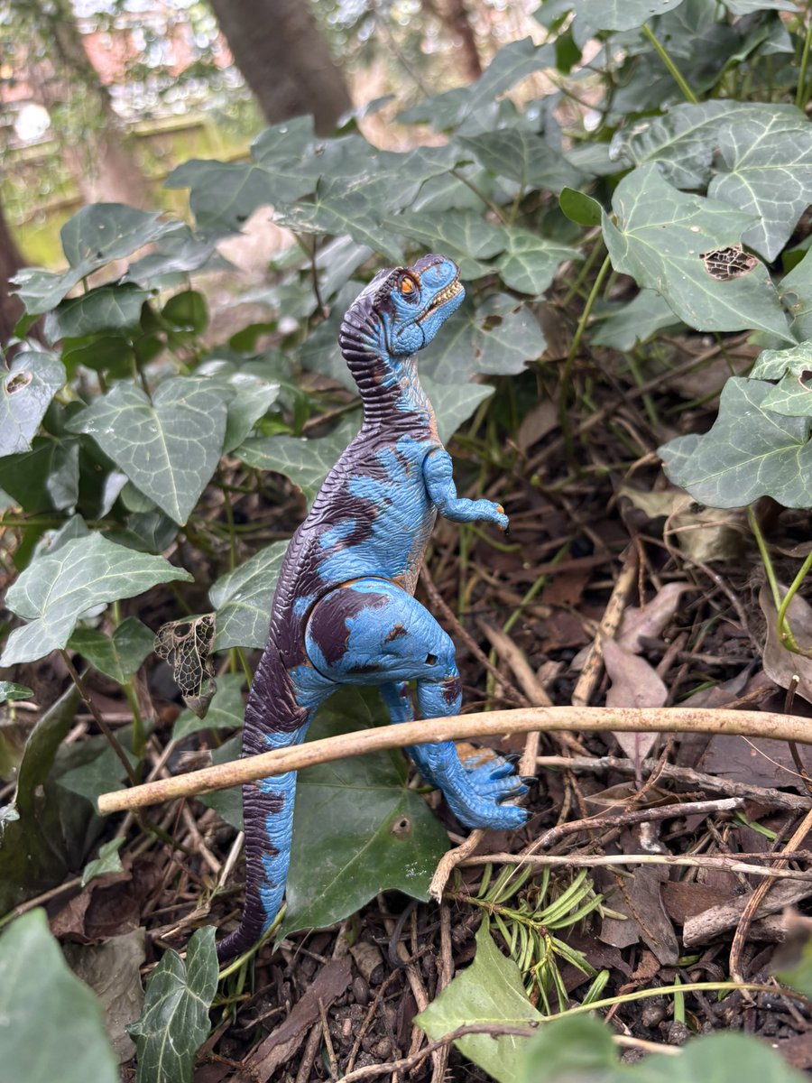 Baby Rex RAWR tweet media