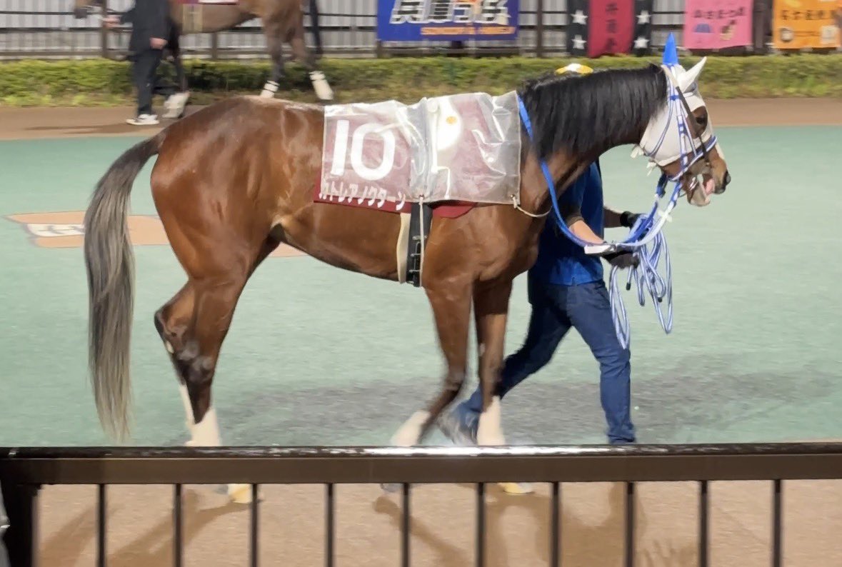 やべ@競馬東海 tweet media