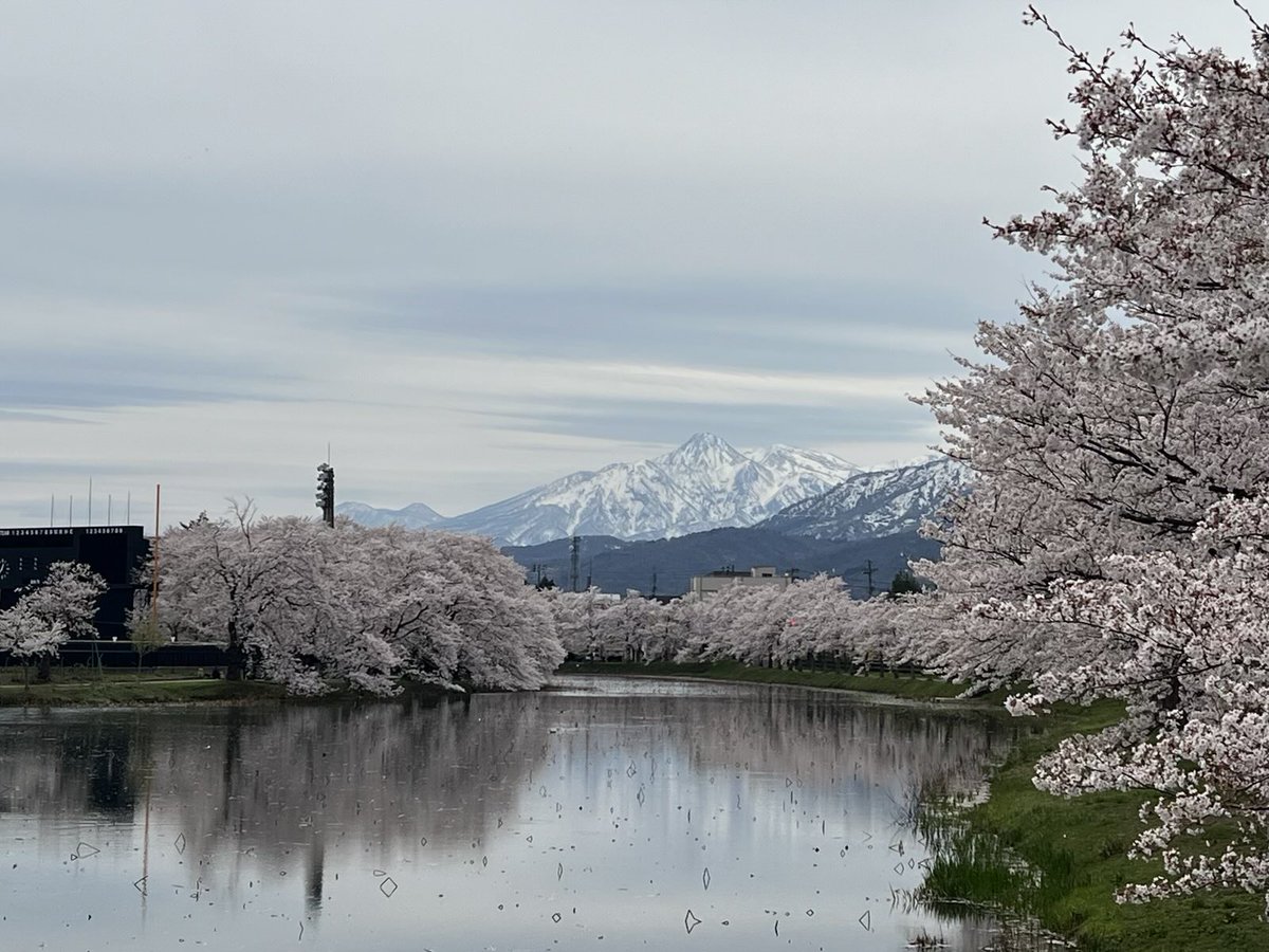 Kintsugijin tweet media