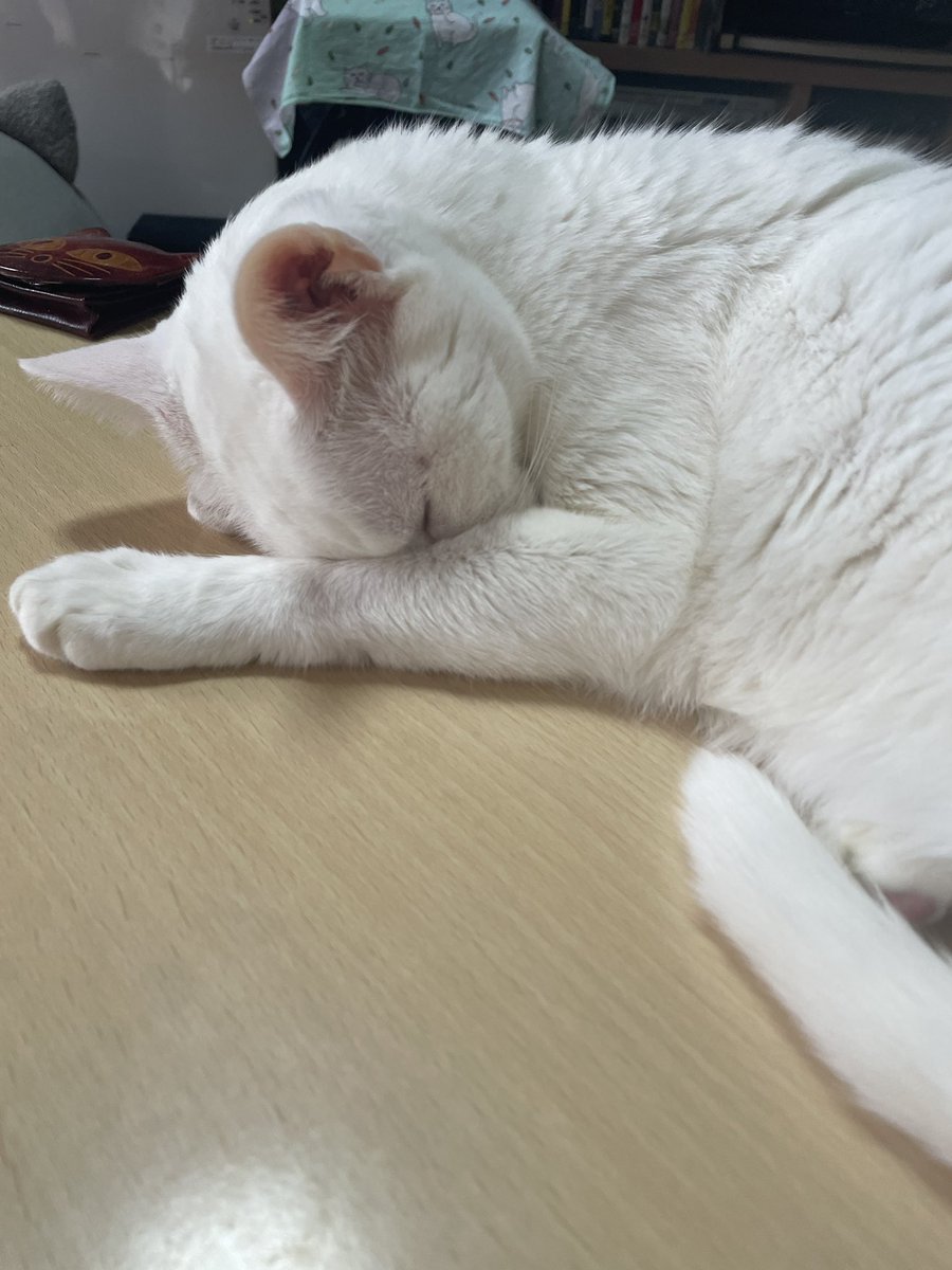 モンビジ・ユーコ tweet media