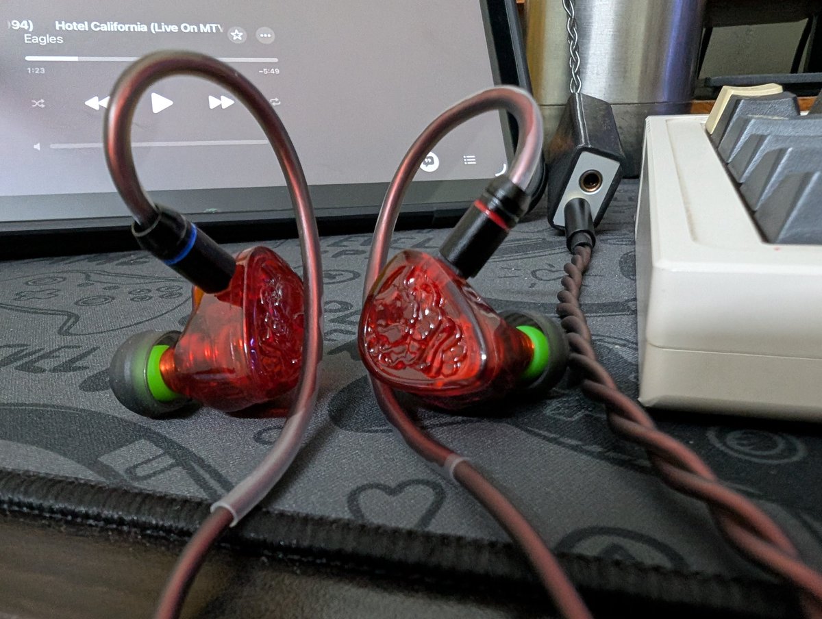 Rohitagni Mukherjee tweet media