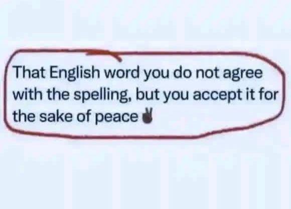 B wilson🇳🇬🐈‍⬛ tweet media