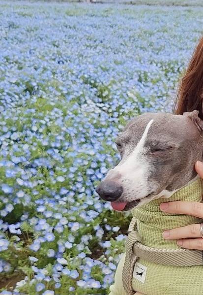 ぴーぽch tweet media