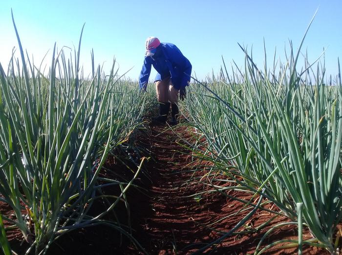 Se intensifican las huellas negativas del bloqueo en la Industria Alimentaria. 

Los detalles aquí 👇👇

@Periódico  <a href="/Granma_Digital/">Periódico Granma</a>
goo.su/72jAHF