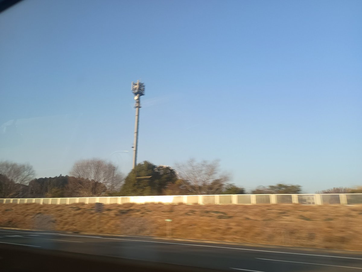 Kento Taguchi tweet media