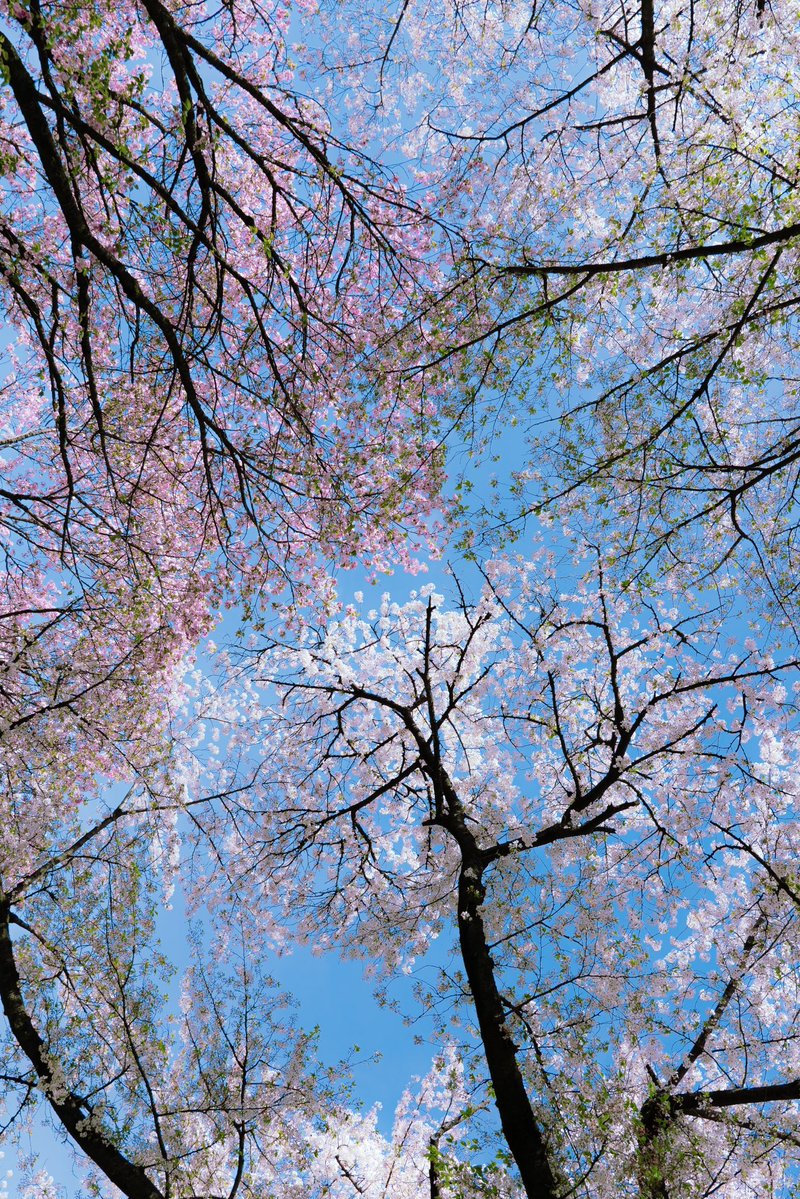 𝕣𝕒𝕤𝕙𝕒 tweet media