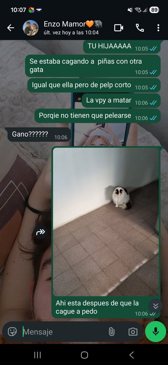 Mint Bowsy🍊 tweet media