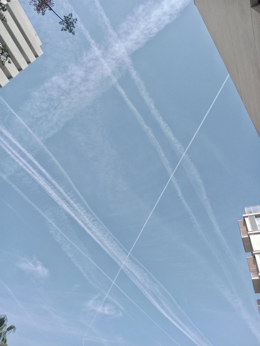 SelvANegrA 🦅 Reventando geoingeniería tweet media