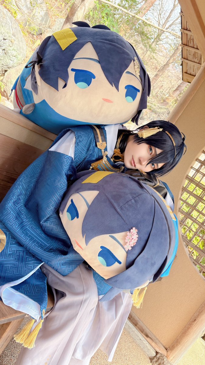 2、3振り届いて置き場所困る審神者さん、安心して欲しい。この大きさ×2よりは全然小さい✋😊