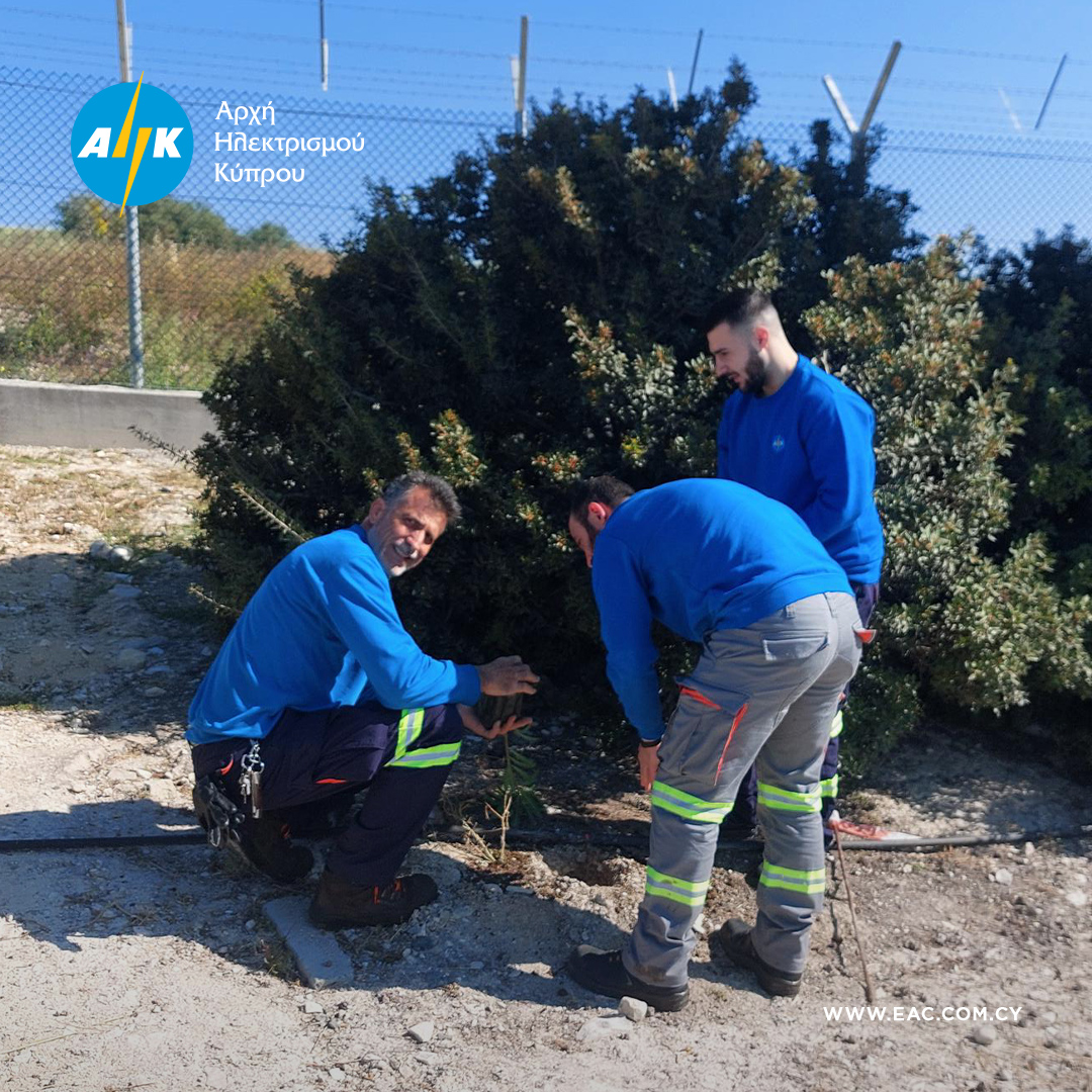 Electricity Authority of Cyprus tweet media