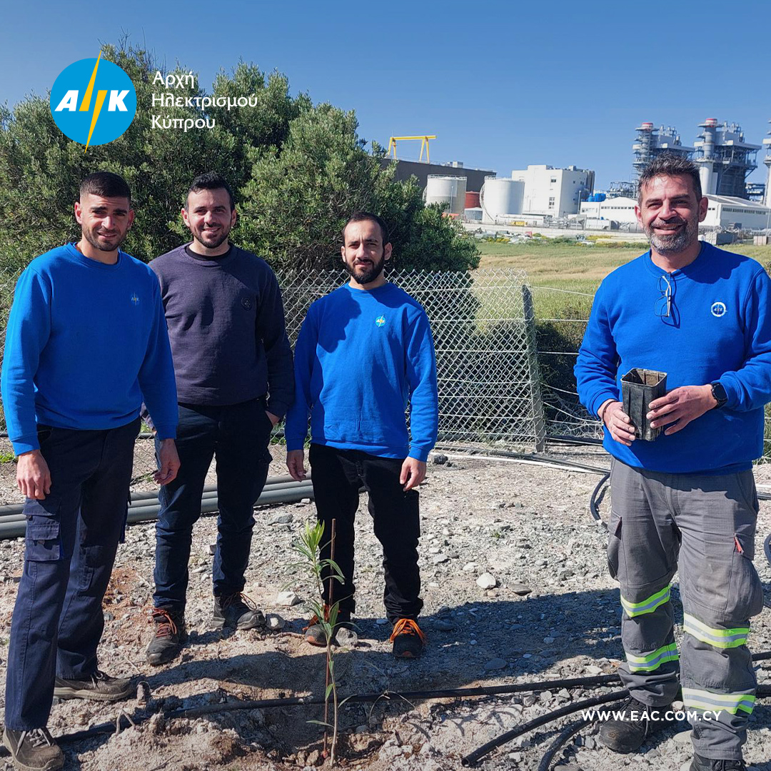 Electricity Authority of Cyprus tweet media