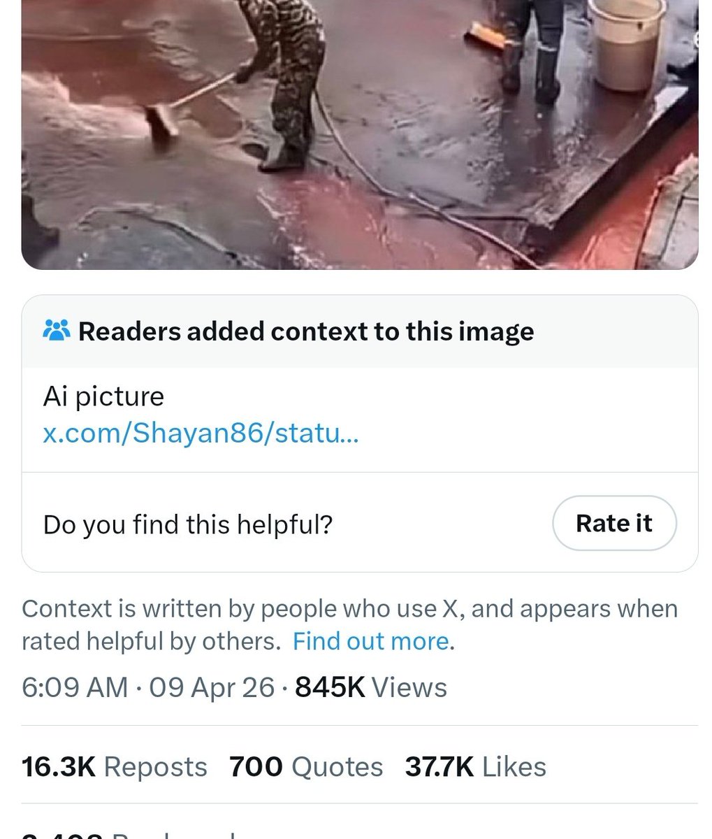 hasnain ali tweet media