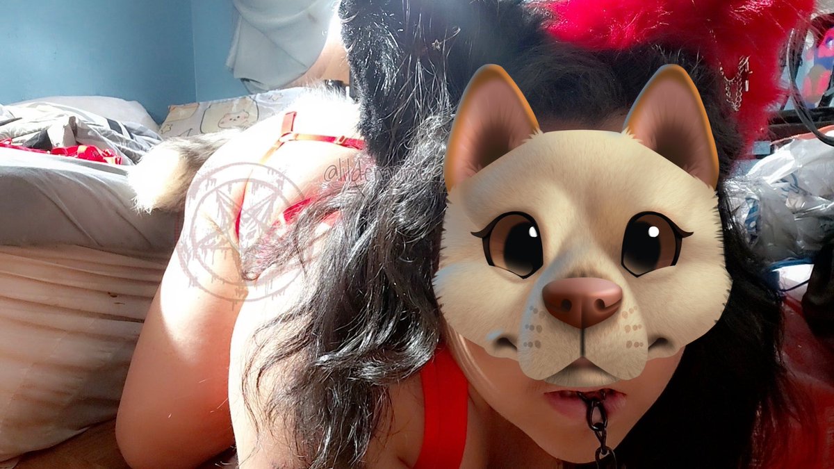 lildemon6966's tweet photo. Wolfgirls get a little spicy at night 

  ႔ ႔
ᠸᵕ ᵕ  𐅠 

I’m feeling feral✨ https://t.co/8b5BBCNlhu