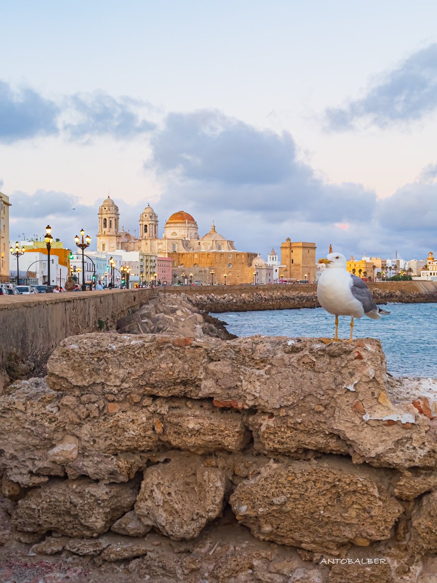 antobalberphotographer tweet media