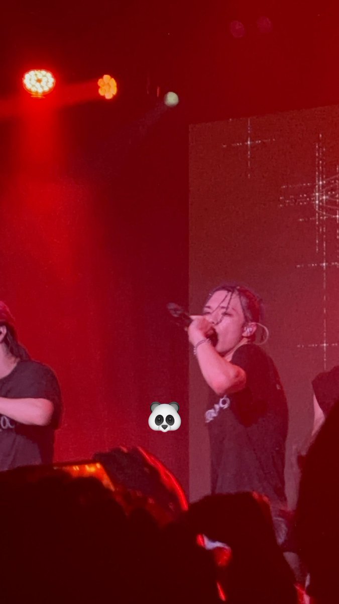 amandabear 🐼ྀི tweet media