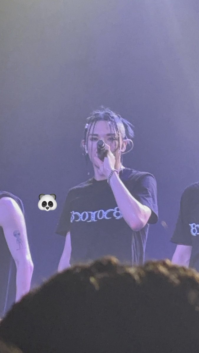 amandabear 🐼ྀི tweet media