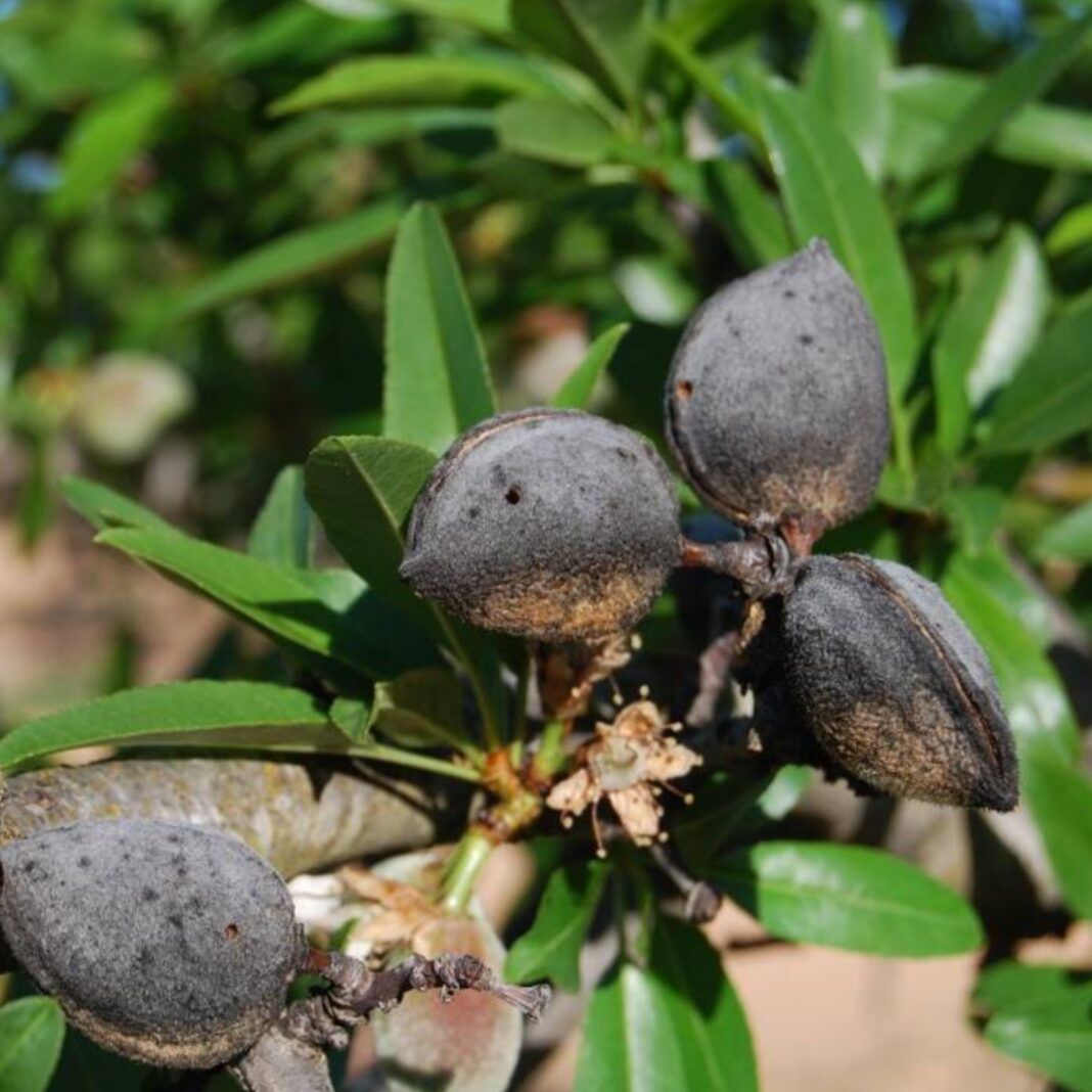 Motril Digital tweet media