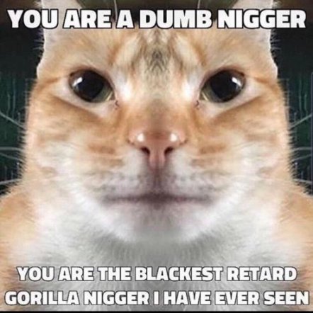 Minecraft Steven 🇺🇸 tweet media