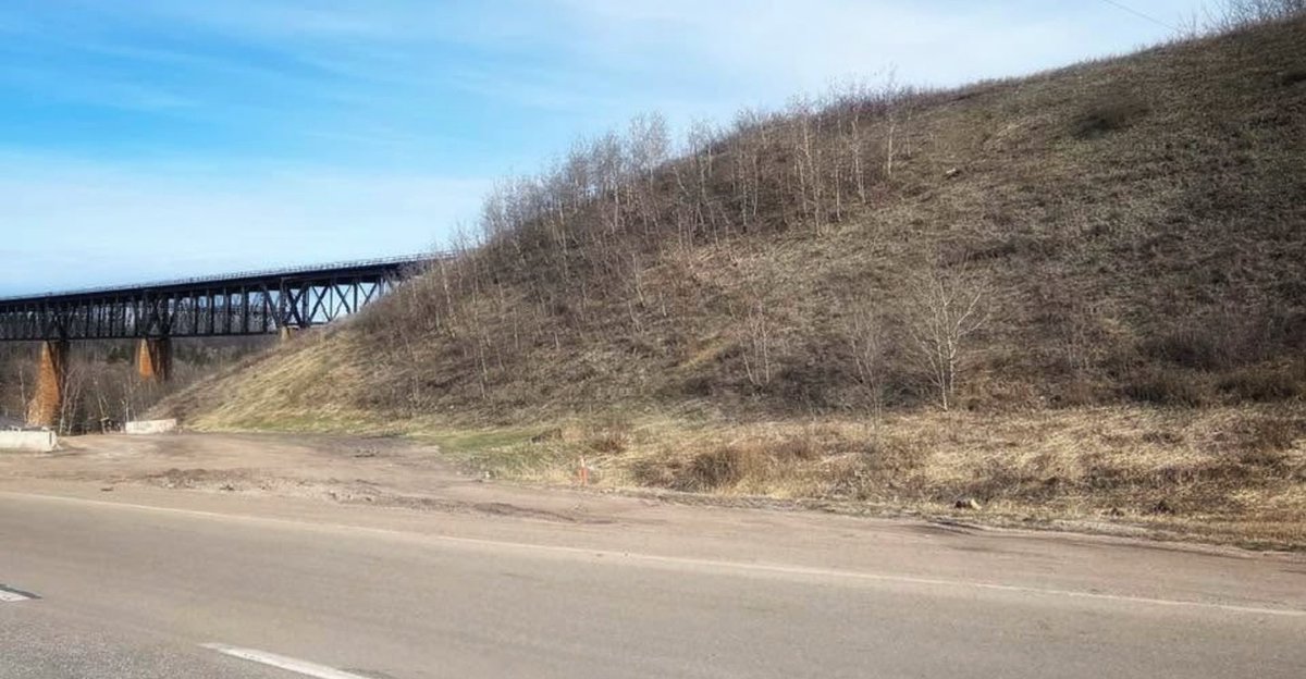 Rachel H. (Rach) tweet media