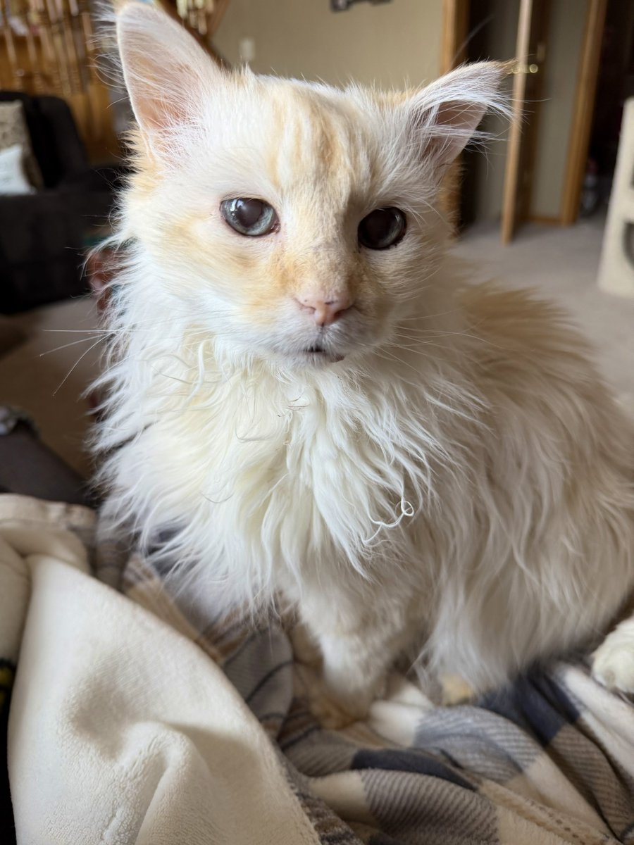 🐛🌷Dean🦋🪴 tweet media