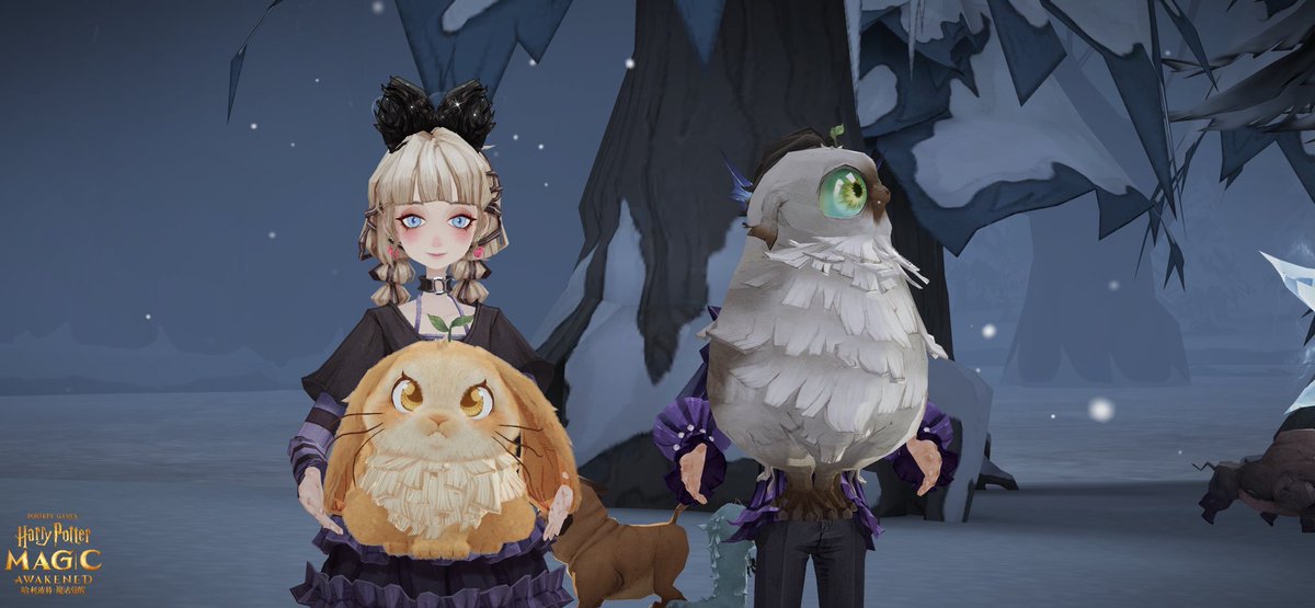 Fly3fish tweet media