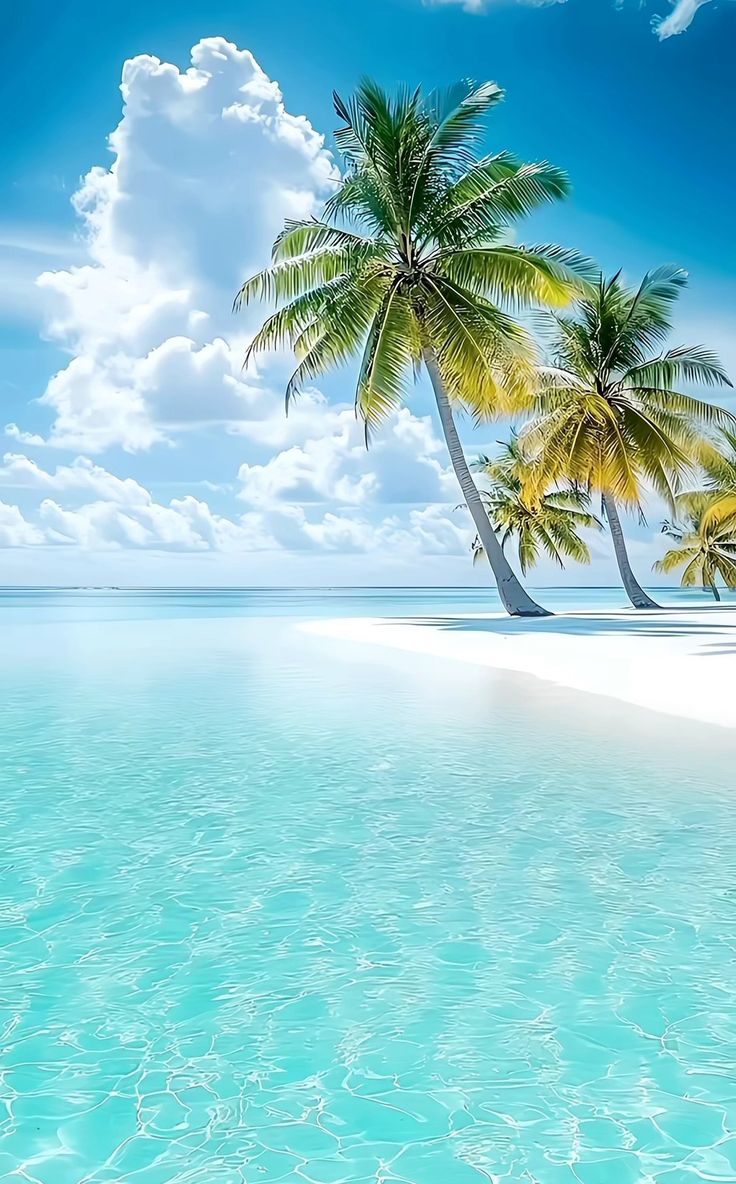 Aqua Vibes tweet media