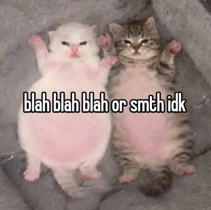 Lᴏʟᴀ ☆ tweet media