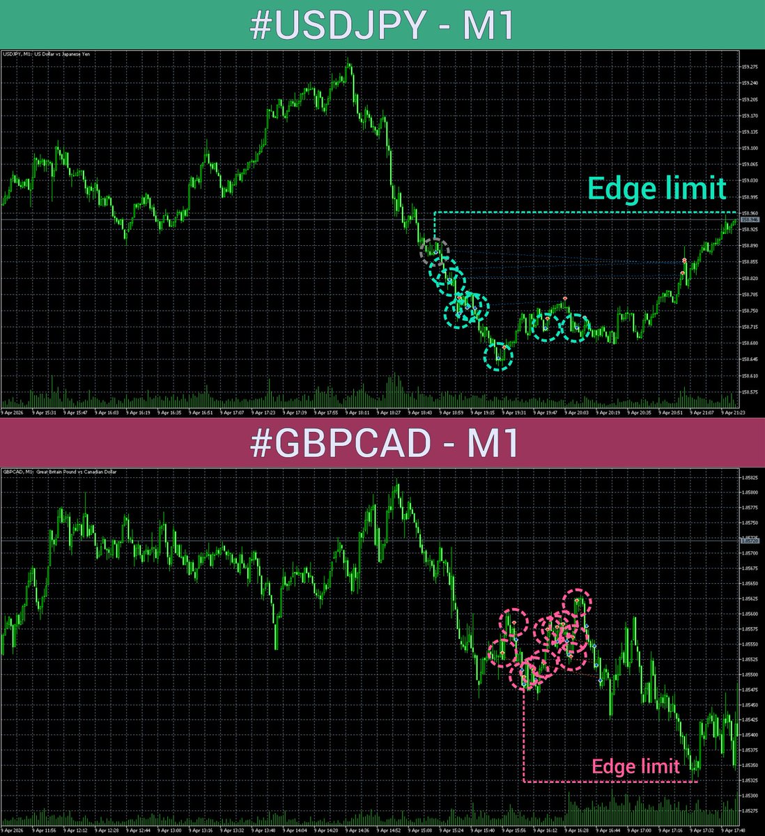 Home.ORA 🦾🚀 tweet media