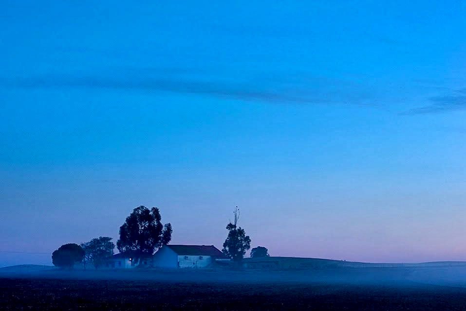 BoraPraPortugal's tweet image. 📍Entre Évora e Monsaraz 🇵🇹

#evora #monsaraz #alentejo #portugal #walkabout
