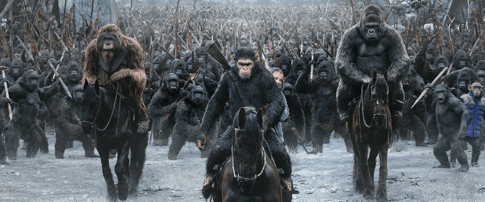 Diego🇵🇾🇮🇹 tweet media