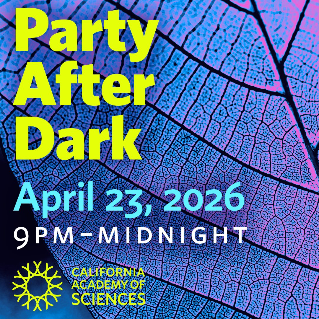 DoTheBay tweet media