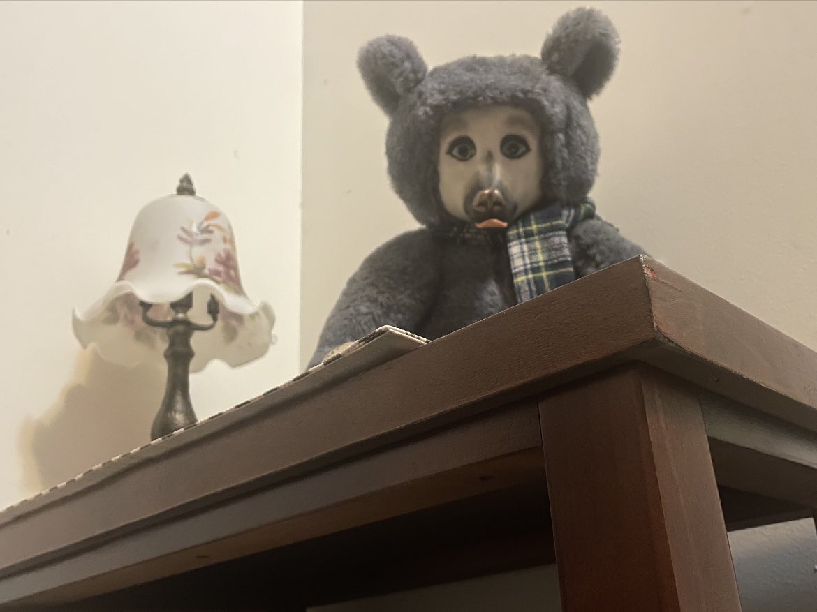 nicky 🐾 tweet media