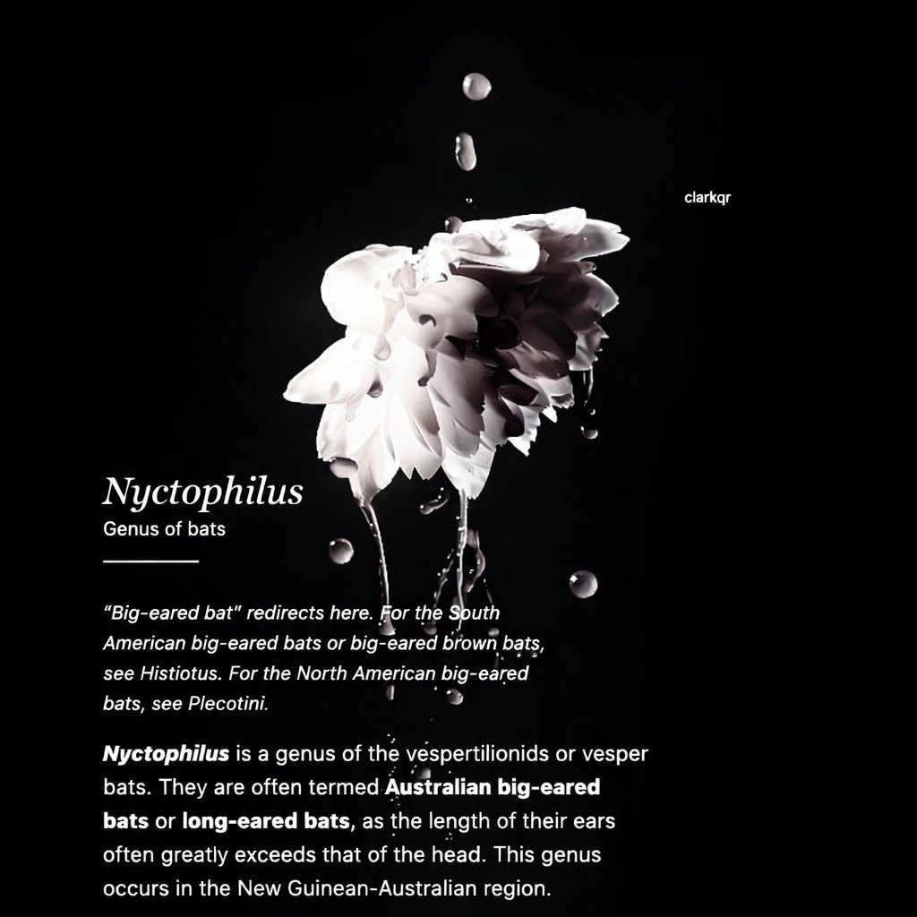 ­­ ­ ­­­ ­­­ ­ ­­­ ­r̶o̶u̶g̶e̶ tweet media