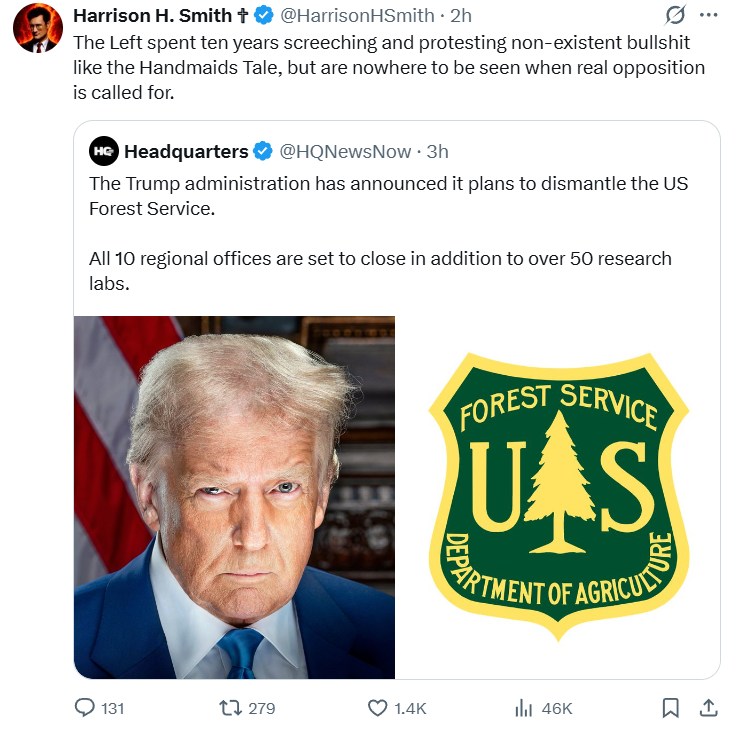 bumbadum tweet media