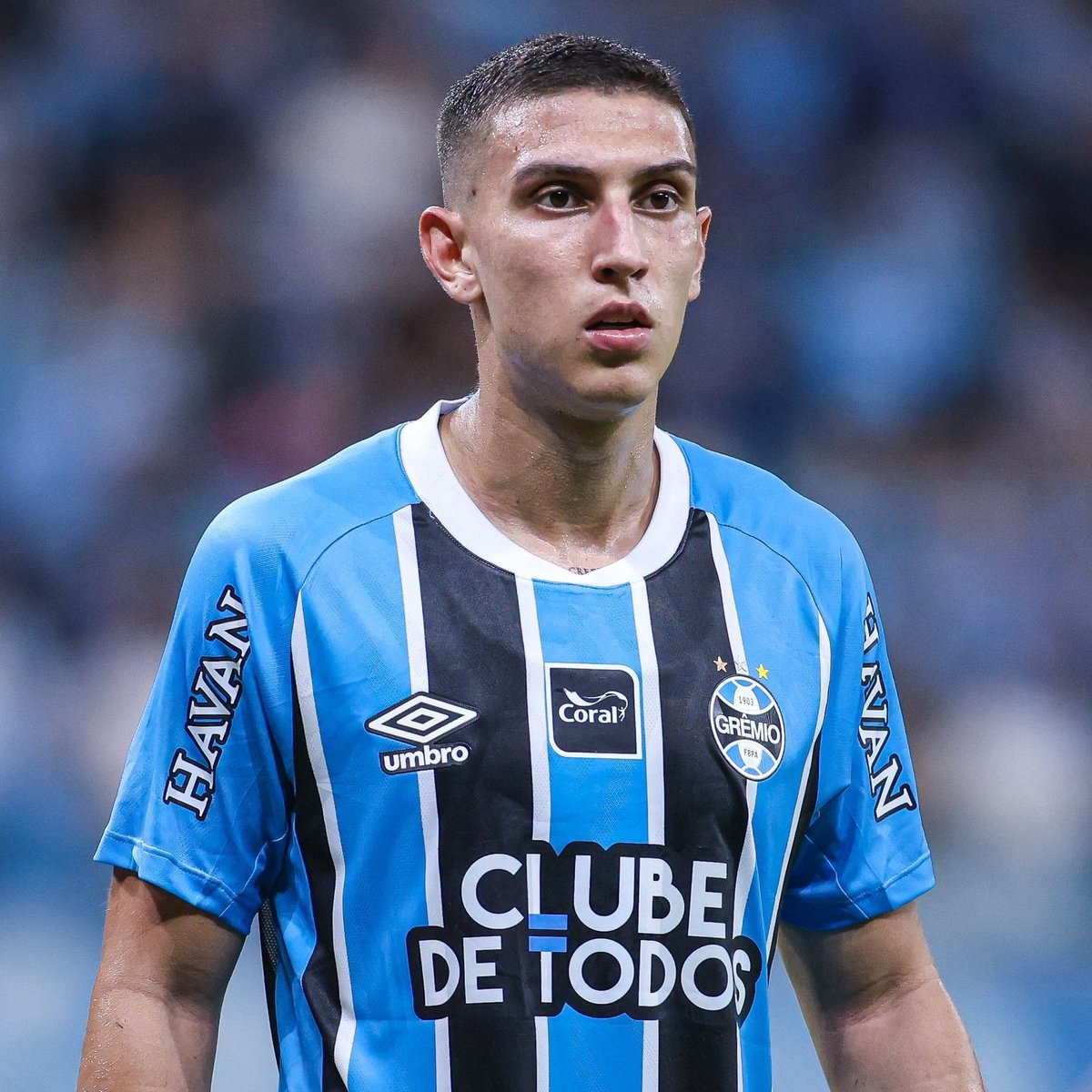 Grêmio Info tweet media