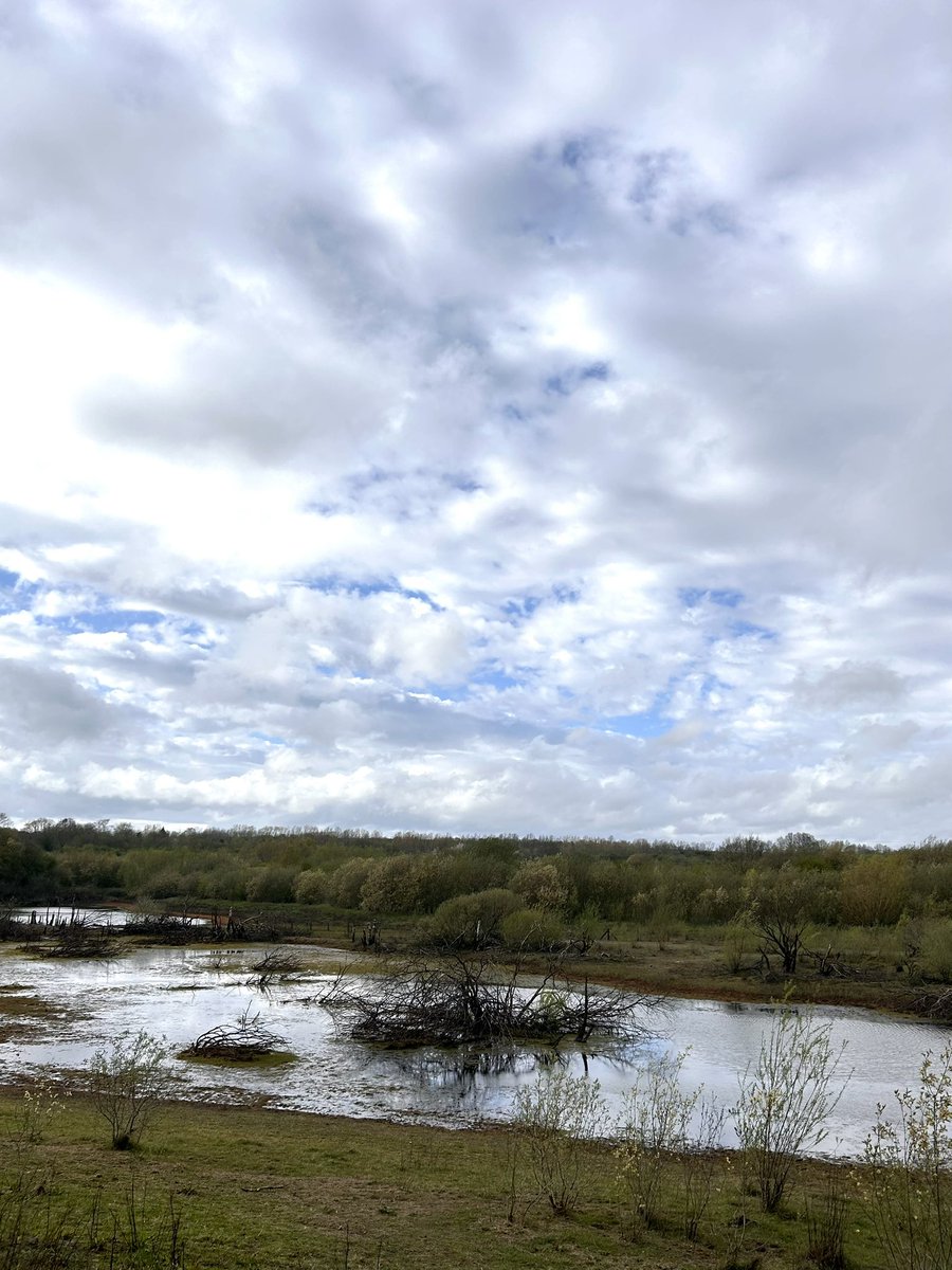 HellingtonBoots's tweet photo. After a busy day of chores, #Stellasaurus finally got her Walkies - a windy wander at #RabbitIngs ๐ฐ
Thankfully, the rain held off, and there was even little gesture of blue sky by the time we were leaving.
#LegsAndLaces ๐ฅพ https://t.co/efzI2SqKPH